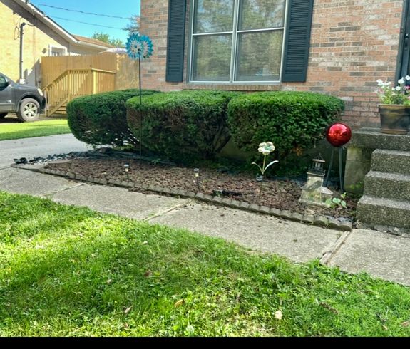 Tree & Bush Trimming