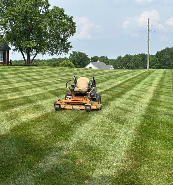 Locally Trusted Experts in Lawn Care