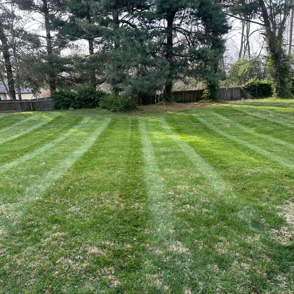Locally Trusted Experts in Lawn Care