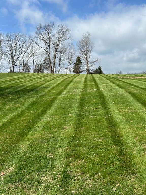 Regular Lawn Maintenance