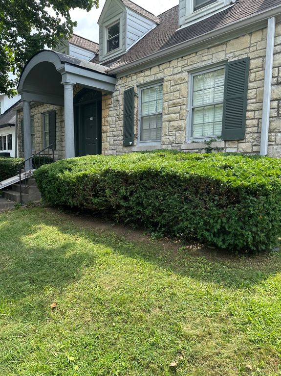 Tree & Bush Trimming