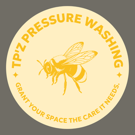 TP'z Pressure Washing logo