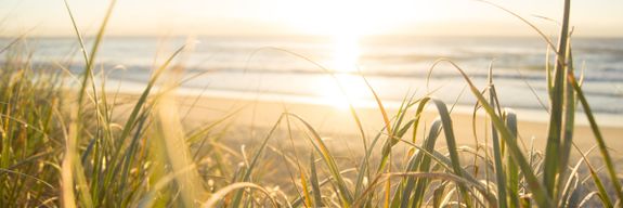 Person Writing on a White Paper Beside the Laptop and Cellphone