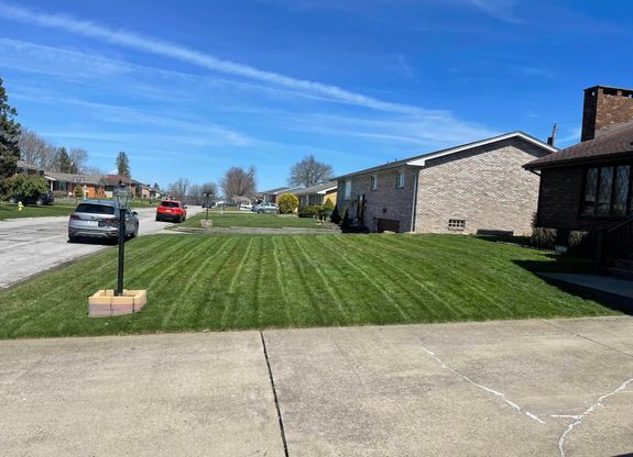 Are your services guaranteed?