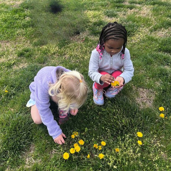 What are the hours for the Toddler Adventures program?