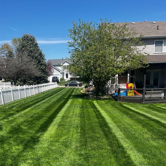 Transform Your Lawn with Expert Care