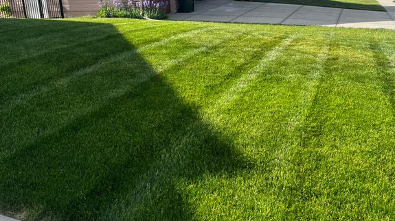 Transform Your Lawn Like Never Before in Omaha