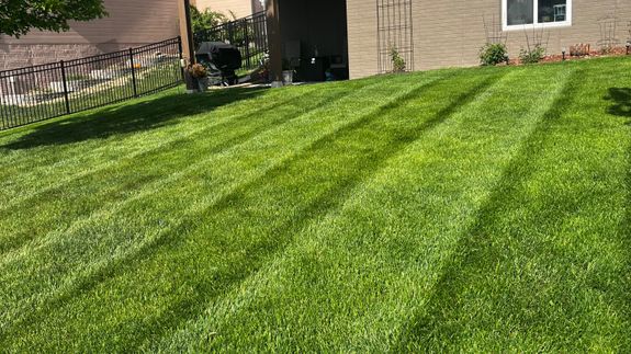 Five Men & a Mower            Transforming Lawns Across Omaha