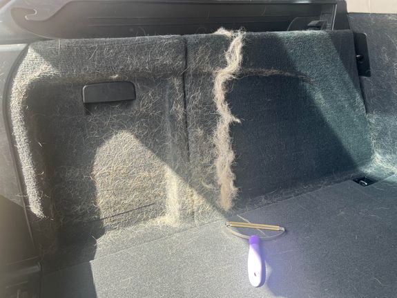 Pet Hair Removal