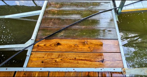 How often should I get my home soft washed?