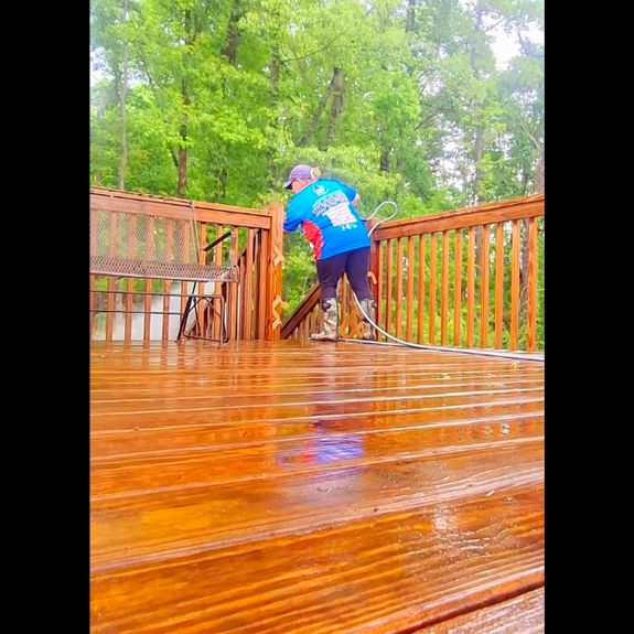 Are your pressure washing or soft washing products safe for my plants and pets?