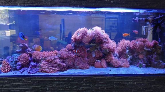 silver iMac near iPhone on brown wooden table