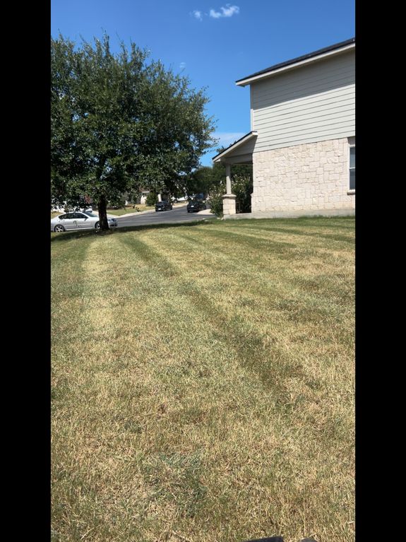 Local Experts You Can Trust