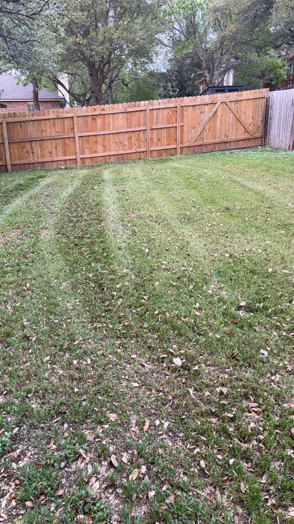 Expert Care Tailored to Your Lawn