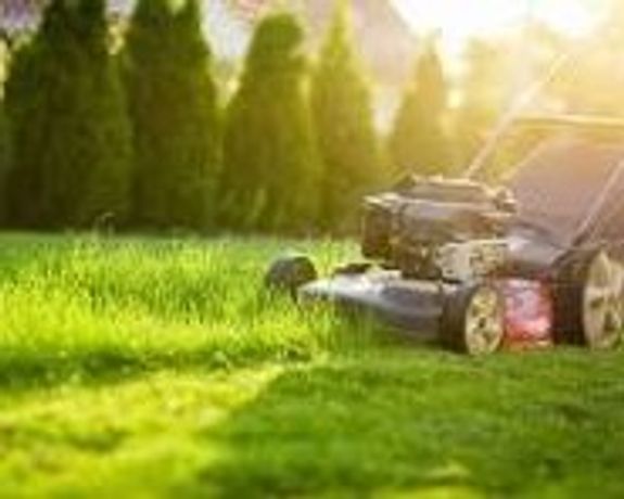 Lawn Mowing