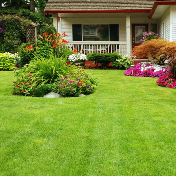 Lawn Care