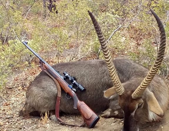 Oplev dit livs jagteventyr, med erfarne proff, jægere, skinnere, trackere, og konservatorer.