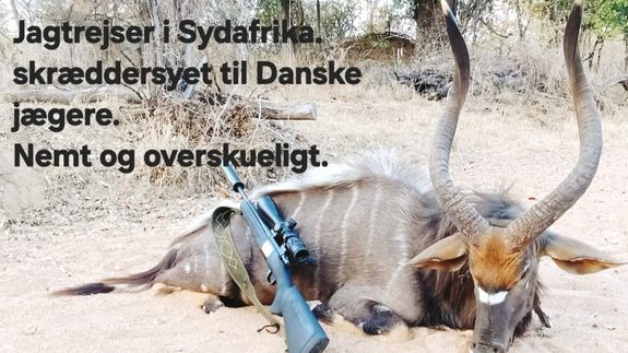 Oplev spændingen alle dine jagtvenner taler om. Den afrikanske feber, vil med sikkerhed også ramme dig.