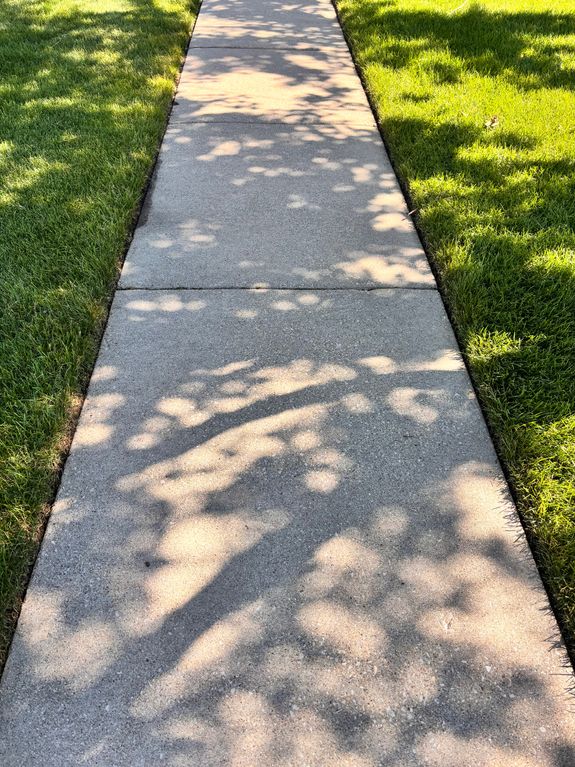 Driveway Cleaning