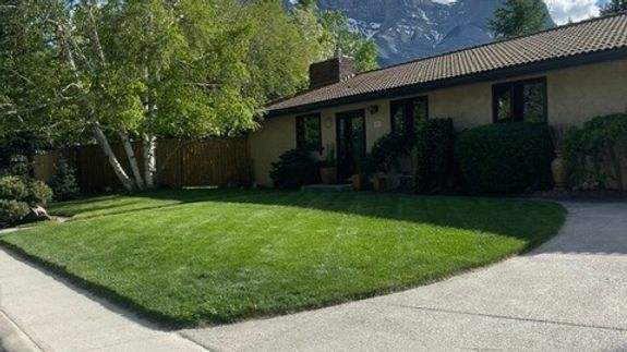 Transform Your Outdoor Spaces in Canmore, AB with Mountain Grass Maintenance