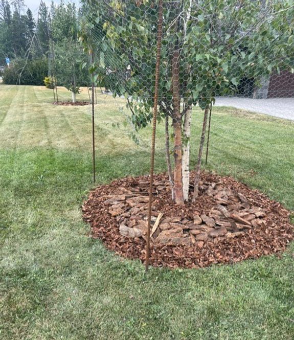 Personalized Landscaping Services in Canmore, AB
