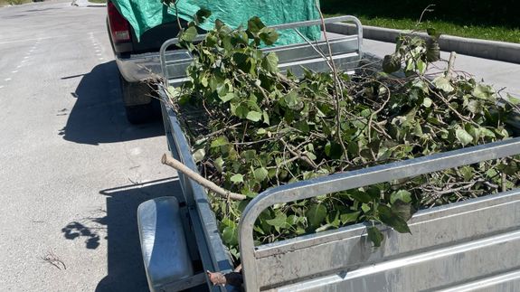 Personalized Landscaping Services in Canmore, AB