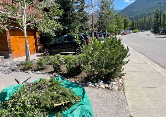 Transform Your Outdoor Spaces in Canmore, AB with Mountain Grass Maintenance