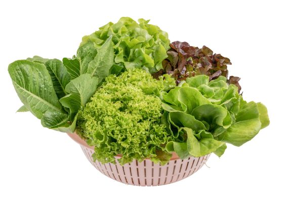 Leafy Vegetable Seeds