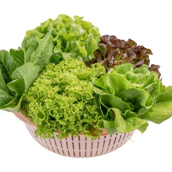 Leafy Vegetable Seeds