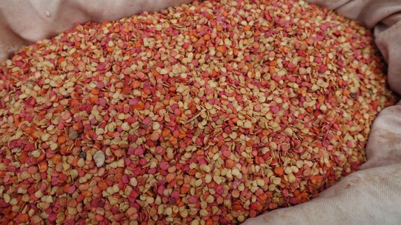 Grow Success with Our Premium Pepper Seeds in Lubumbashi