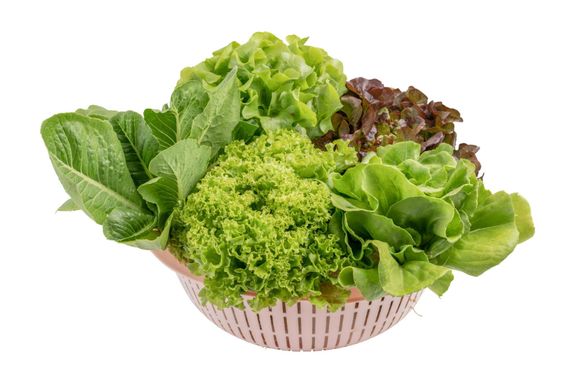 Leafy Vegetable Seeds