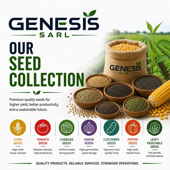 About Our Seed Collection