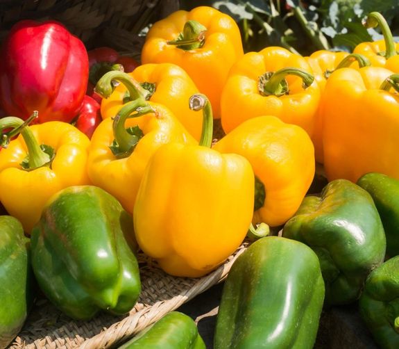 Pepper Seeds