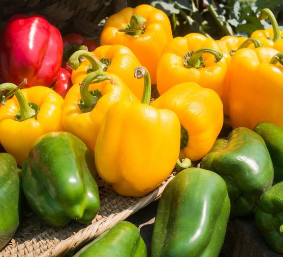 Pepper Seeds