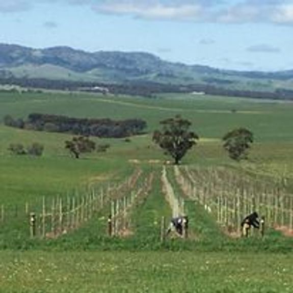 Experience Unforgettable Party Bus Tours