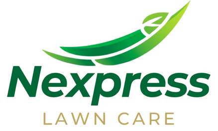 Nexpress logo
