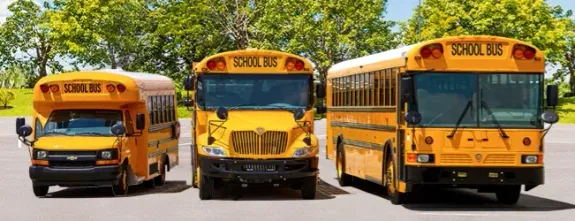 Comprehensive Service Options