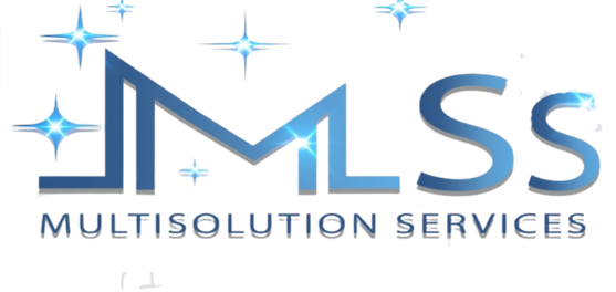 MultiSolution Services logo