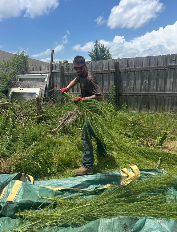 What types of yard waste do you accept for disposal?