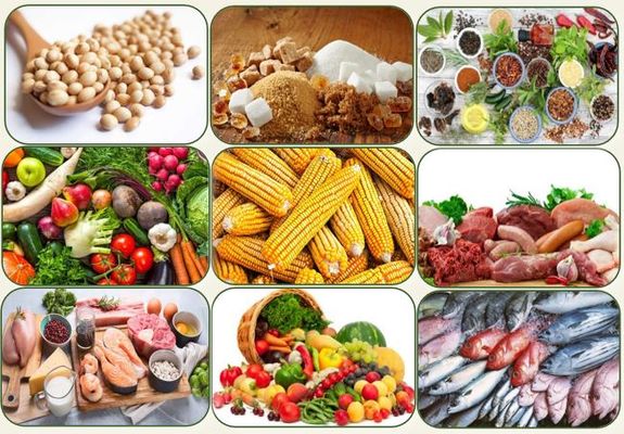 Vegetable and Animal