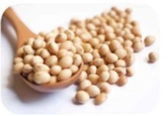 SOY BEANS (GMO-NON GMO)