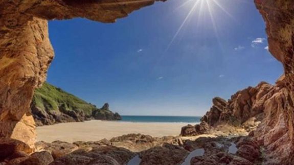 Coming Soon: University Application Support Programme