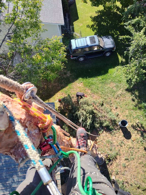 Safety First, Always