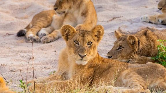 Photo of People On Top Of Mountain
