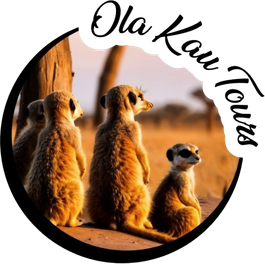 Ola-Kau Tours logo