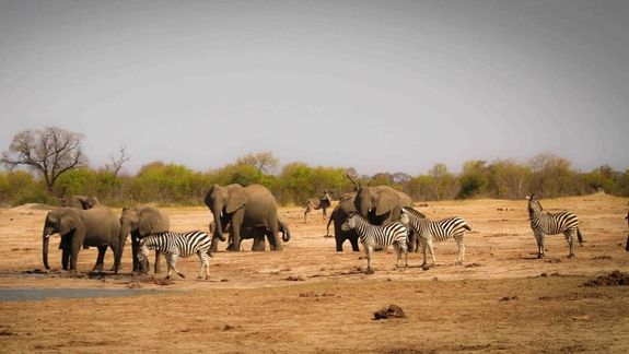 Person Mountain Climbing