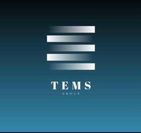 TEMSGROUP  logo