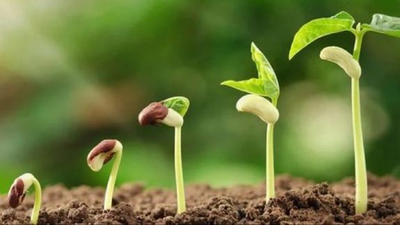 💰Sponsorship                  Opportunities