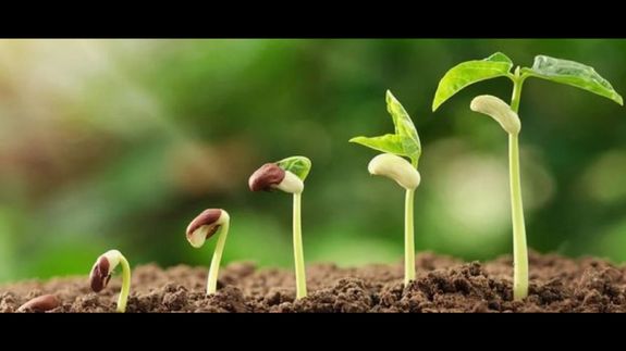 Every Child Is a Treasure