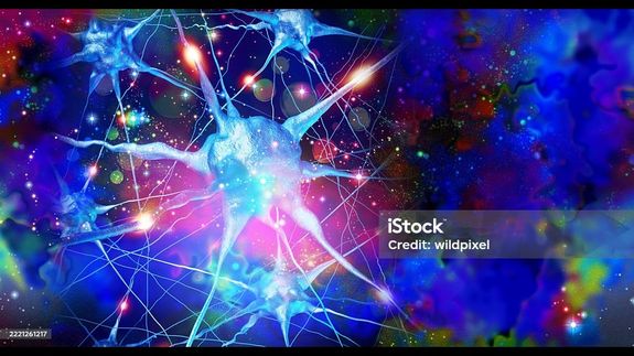 Find Peace. Transform Your Mind.